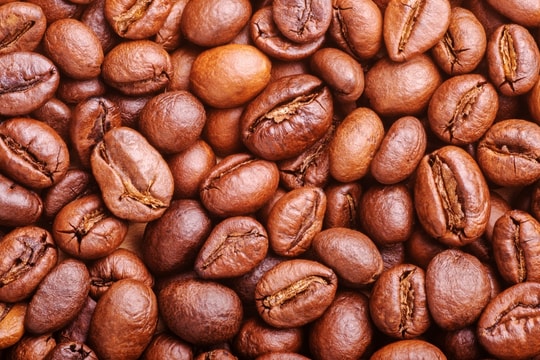 Cập nhật giá cà phê hôm nay 18/6: Giảm không ngừng tại Tây Nguyên