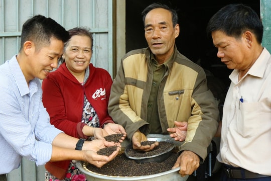Tư duy hiện đại, làm vườn kiểu mới, nông dân Lâm Đồng nâng tầm giống cây "tinh túy", thu nhập lên đến tiền tỷ mỗi năm