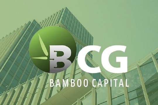 Cổ phiếu họ Bamboo Capital tiếp tục tăng kịch trần
