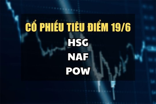 Cổ phiếu tiêu điểm hôm nay 19/6: HSG, NAF, POW