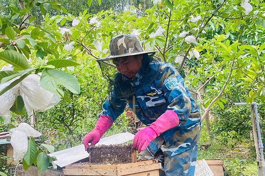 Không đất rộng, chẳng vốn lớn, nông dân Quảng Bình làm giàu từ thứ "tinh túy địa phương", thu nhập cả trăm triệu đồng mỗi năm