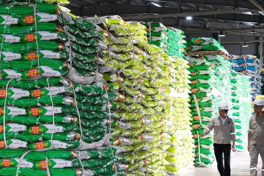 Triển vọng trái chiều tại cổ phiếu phân bón – hóa chất, điểm mặt những mã nên "xuống tiền"