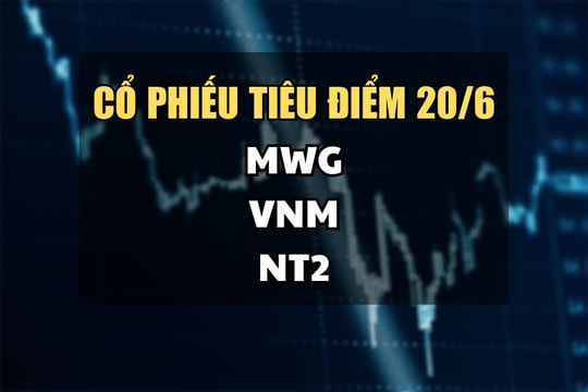 Cổ phiếu tiêu điểm hôm nay 20/6: MWG, VNM, NT2
