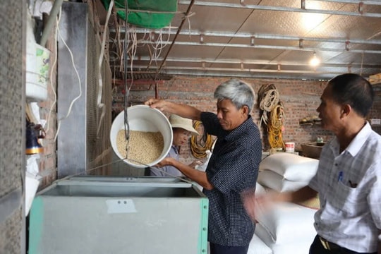 Là một cựu chiến binh anh hùng, nông dân Hải Dương làm giàu nhờ "cỗ máy sinh lời" đặc biệt, lãi nửa tỷ đồng mỗi năm