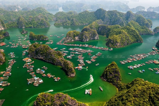 2 ngày ở Hải Phòng: Tôi đã sống trọn một bản hòa ca giữa vịnh xanh và vị cua bể