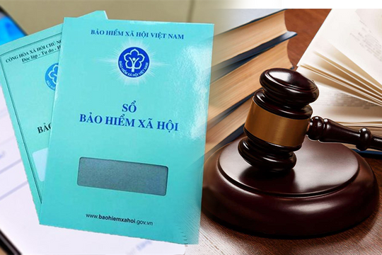 Trốn đóng bảo hiểm xã hội có thể bị xử lý hình sự, doanh nghiệp cần đặc biệt lưu ý