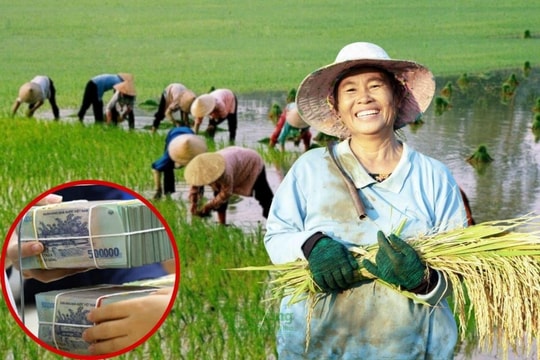 Không cần thế chấp, vay tới hàng tỷ đồng: Chính sách mới mở đường cho nông dân "vươn mình"
