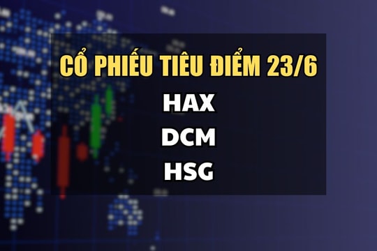 Cổ phiếu tiêu điểm hôm nay 23/6: HAX, DCM, HSG