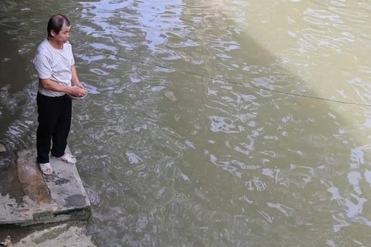 Từ món quà của bố mẹ vợ, nông dân Thanh Hóa ươm mầm một giống loài gắn liền với ký ức đại ngàn, thu nhập năm nào cũng vài trăm triệu