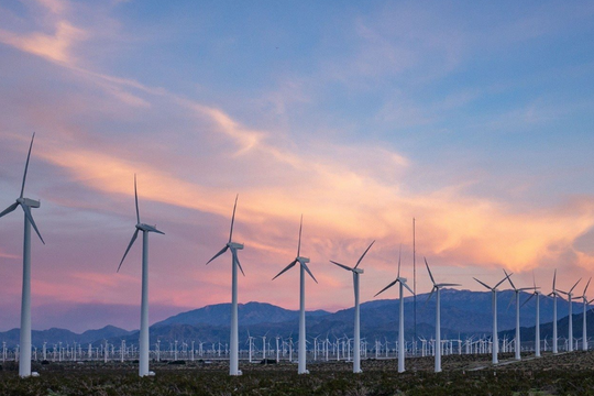 Một cổ phiếu điện gió âm thầm tăng tốc, kỳ vọng tăng trưởng tới 20%