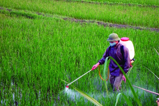 Một công ty nông nghiệp từng đạt Thương hiệu Quốc gia lĩnh án phạt