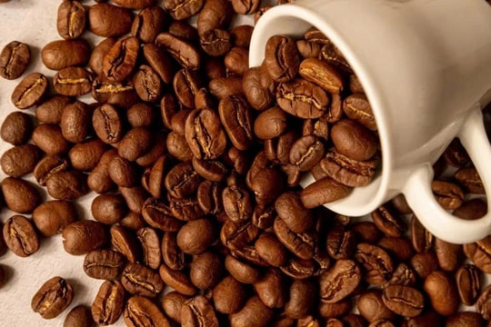 Giá cà phê hôm nay 26/6: Tây Nguyên "cắm đầu lao dốc", lực bán tháo đang quay lại?