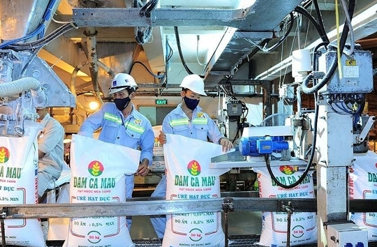 Cổ phiếu phân bón biến động "không đồng đều" giữa căng thẳng