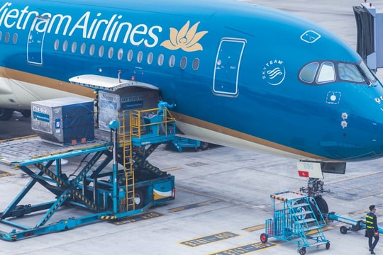 Doanh nghiệp nhà Vietnam Airlines bất ngờ trả cổ tức tiền mặt cao nhất lịch sử