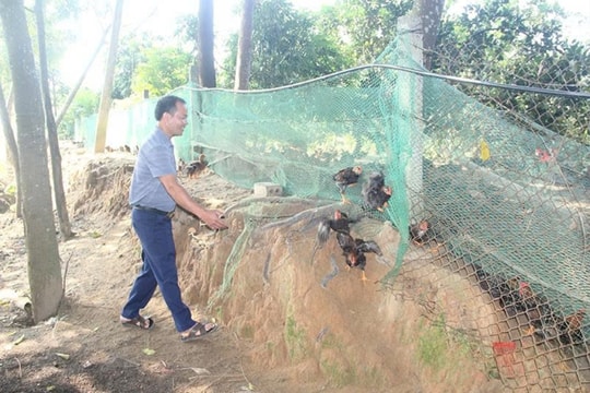 Không chặt phá rừng, không hóa chất, nông dân Thanh Hóa tự tạo nên trang trại bạc tỷ, nuôi đủ thứ con, mỗi năm cầm tay vài tỷ đồng
