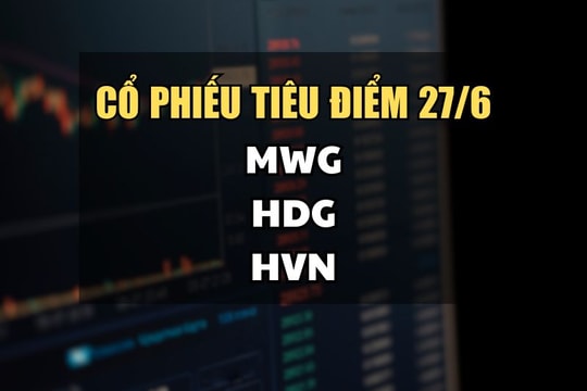 Cổ phiếu tiêu điểm hôm nay 26/6: MWG, HDG, HVN