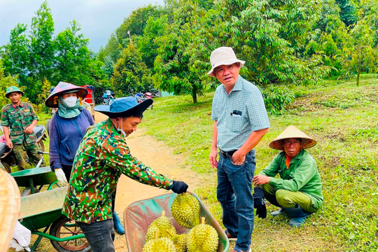 4 ngày nữa, loạt doanh nghiệp này sẽ hưởng lợi lớn, Hoàng Anh Gia Lai cũng có thể góp mặt