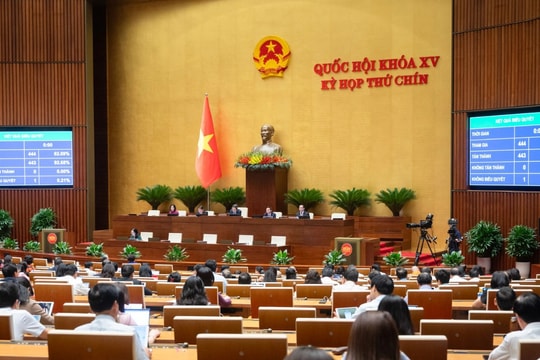 Tin vui cho nông dân: Thuế đất nông nghiệp được miễn thêm 6 năm nữa