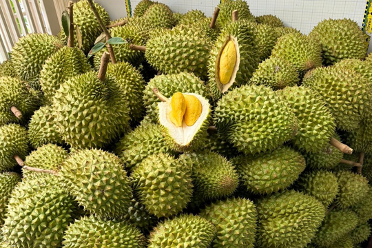 Giá sầu riêng hôm nay 27/6: Vẫn "Lẹt đẹt" ở mức thấp, doanh nghiệp chờ đơn hàng xuất khẩu