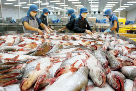 Nam Việt (ANV) bất ngờ được hưởng lợi khi các đối thủ "hụt hơi"