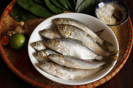 Thay vì uống canxi, hãy ăn loại cá 2 bữa mỗi tuần giúp xương chắc khỏe