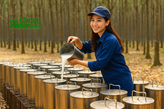 Một doanh nghiệp cao su âm thầm gom đất, chuẩn bị cho 'cú nhảy' nghìn tỷ