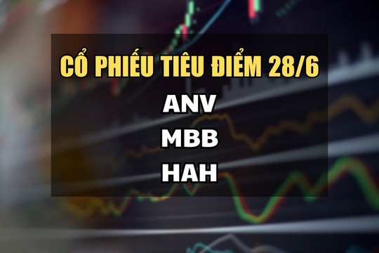 Cổ phiếu tiêu điểm hôm nay 27/6: ANV, MBB, HAH