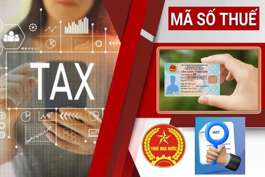 Cảnh báo: 15 triệu cá nhân chưa chuẩn hóa mã số thuế sát ngày thay đổi