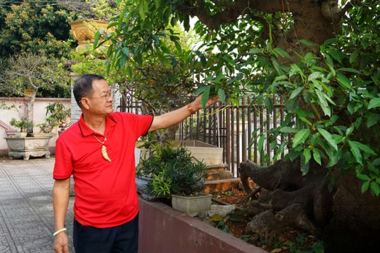 Gần 70 vẫn còn sung sức, người nông dân Thái Nguyên biến đam mê thành khu vườn bạc tỷ, thu nhập đếm không xuể