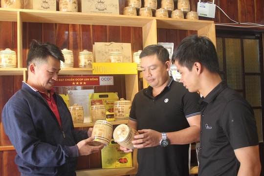 Từ thứ đặc sản cổ bị quên lãng, nông dân Lâm Đồng gây dựng nên thương hiệu trứ danh, sản phẩm giá bạc triệu, khách sành uống săn lùng