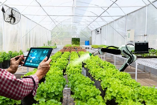 Ngân hàng mang cả trang trại sinh thái ra bán