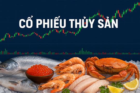 Công ty chứng khoán gọi tên 3 cổ phiếu thủy sàn sáng giá cuối năm 2025