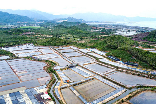 Khánh Hòa tính phương án gỡ vướng dự án hơn 1.800 tỷ đồng của một ông lớn BĐS khu công nghiệp