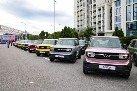 Chủ xe VinFast bất ngờ được tặng thêm quyền lợi lớn