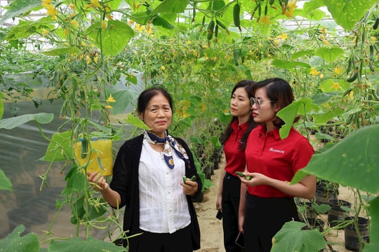 Agribank - Doanh nghiệp ESG Việt Nam xanh 2025