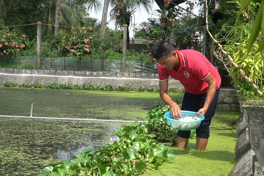 Nghỉ làm báo chí và vệ sĩ, hai anh em nông dân tỉnh Thanh Hóa nuôi thứ sống trong ao bùn thành cơ nghiệp, lợi nhuận mỗi năm lên đến gần 2 tỷ đồng