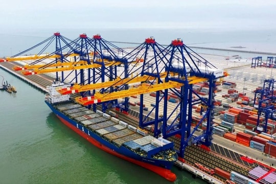 Một cổ phiếu cảng biển hút tiền, hé lộ thương vụ sở hữu 65% công ty mới thành lập hơn một tháng