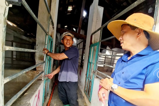 Từ một ý tưởng táo bạo, nông dân Đà Nẵng dựng lên mô hình độc đáo chưa từng có, giúp thu nhập vừa cao vừa ổn định