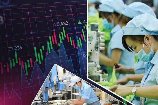 Một công ty chứng khoán bắt đầu chốt lời khoản lãi hơn 4000%