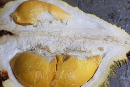 Giá sầu riêng hôm nay 6/7: Đi ngang tại ba miền, Việt Nam đón đoàn Trung Quốc kiểm tra vùng trồng giữa tháng 7