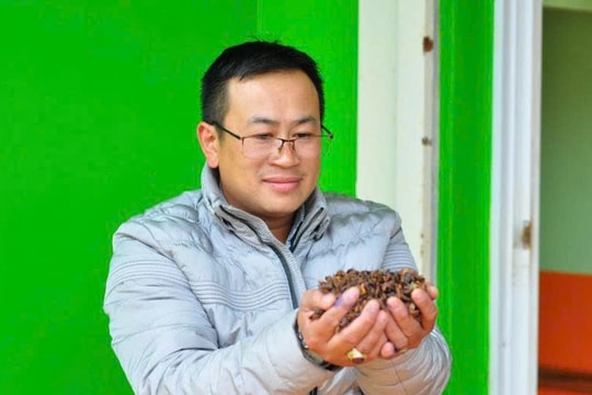 Nông dân Lâm Đồng gìn giữ hương vị đỏ au của miền đồi, sáng tạo ra thứ "đặc sản" 800.000 đồng/kg, nâng cao thu nhập gấp nhiều lần