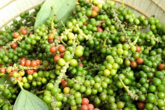 Giá tiêu ngày mai 7/7: Sau chuỗi điều chỉnh, liệu có tạo sóng mới?