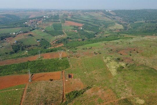 Chân dung doanh nghiệp 4 tháng tuổi rót hơn 8.000 tỷ đồng nuôi 50.000 con bò sữa ở Lâm Đồng