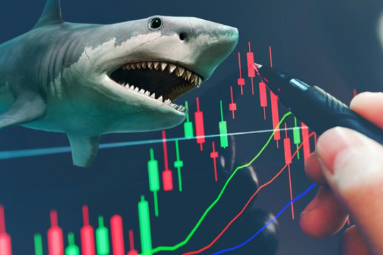 Rót tiền trở lại vào một cổ phiếu chứng khoán, "cá mập" ngoại ôm khoản lãi kếch xù