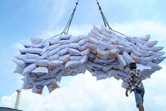 Doanh nghiệp gạo Việt quy mô 500 triệu USD sáng cửa tiến vào quốc gia của các "vũ công Samba", lật ngược thế cờ vốn đang khó