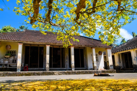 Nhà cổ, người xưa và ký ức chưa ngủ yên giữa lòng miền Trung đổi mới