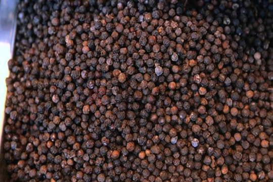 Giá tiêu hôm nay 9/7: Giảm phiên thứ 3 liên tiếp, nông dân vẫn giữ hàng chờ phục hồi