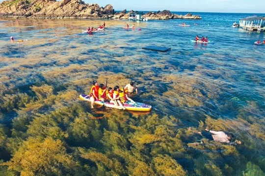 Hòn đảo "gai góc" nằm cách phố thị chưa đầy 20km, ẩn chứa cả thủy cung và cánh đồng rong dưới đáy biển