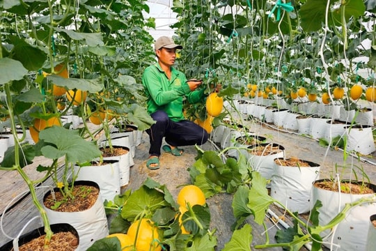 Từ tay lấm chân bùn đến “kỹ sư công nghệ” , người nông dân An Giang làm giàu theo cách khiến cả vùng ngỡ ngàng, thu nhập giờ lên tới 9 con số