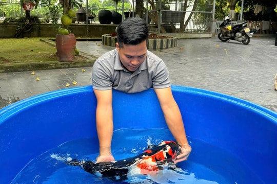 Từ vùng trũng vụ được, vụ mất, nông dân Hải Phòng đi nuôi "thỏi vàng" trong hồ tạo thương hiệu riêng, tiền cứ thể đổ về